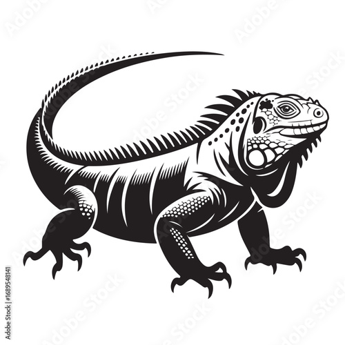 Black and white illustration of iguana lizard reptile with tail