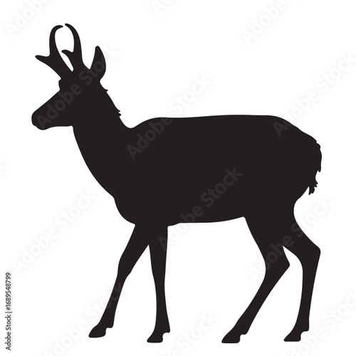 Silhouette of deer with small antlers standing in side view