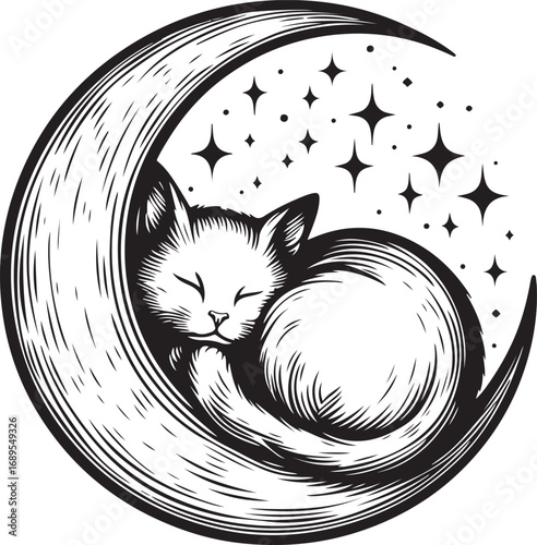A Cute Feline Cat Sleeps Comfortably on a Crescent Moon Underneath Twinkling Stars