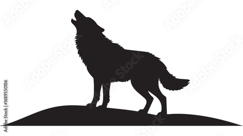 Silhouette of howling wolf standing on ground with raised tail