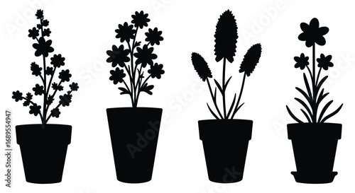 four potted plants with various flowers and leaves