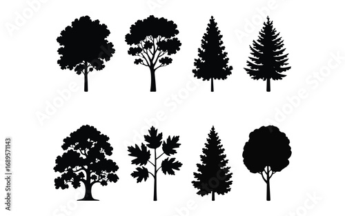 Pine tree silhouettes. Evergreen forest firs and spruces black shapes, wild nature trees templates. Vector illustration woodland trees set on white background