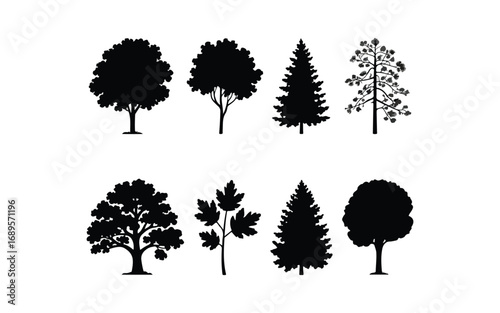 Pine tree silhouettes. Evergreen forest firs and spruces black shapes, wild nature trees templates. Vector illustration woodland trees set on white background