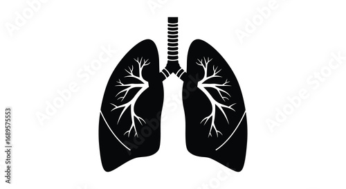 human lungs diagram showing detailed bronchial tree structure