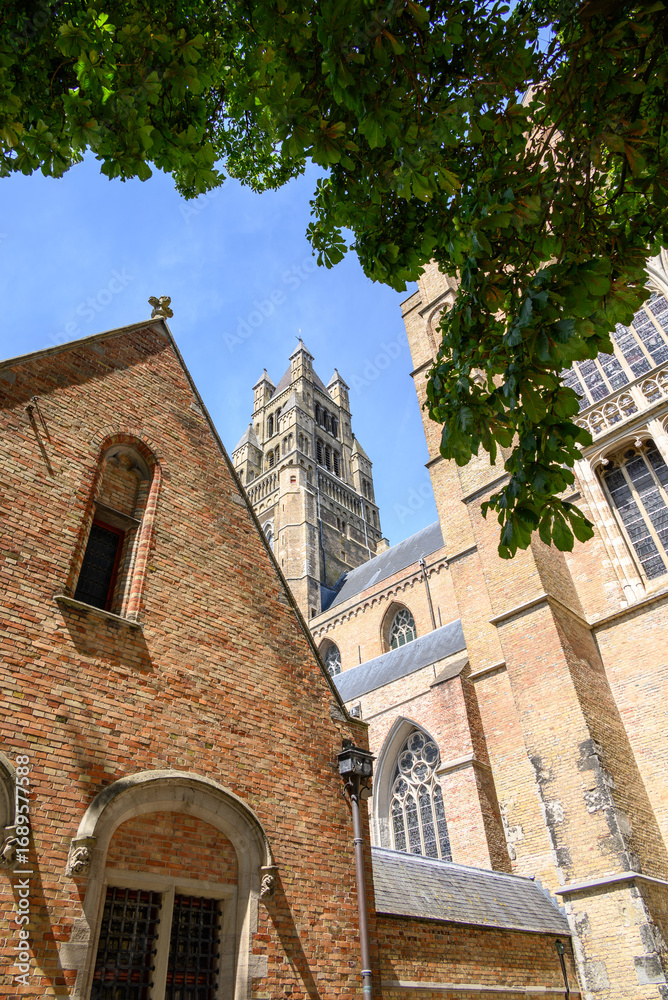 Obraz premium Saint Salvator Cathedral main Roman Catholic gothic church in Bruges, Belgium