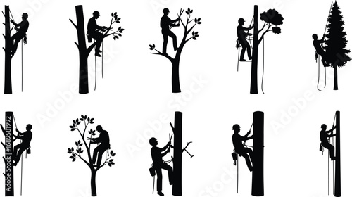 Tree climbing silhouette grid of arborist working on various trees, black vector illustration for forestry, pruning, inspection and outdoor safety