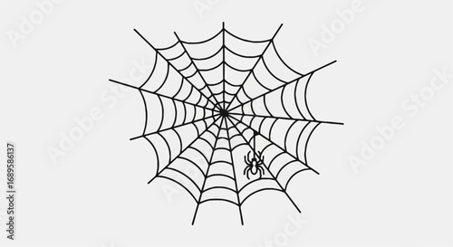 Creepy Spider Web with Small Spider Illustration for Halloween Decorations and Spooky Design Assets