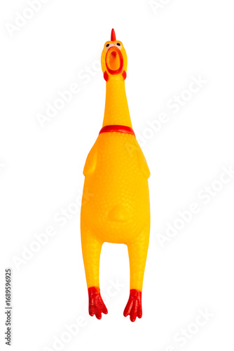 rubber screaming chicken toy for dogs isolated on white background. Bright yellow chicken toy doll