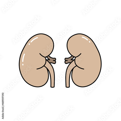 Minimalist diagram depicting a pair of human kidneys, essential for waste filtration and fluid balance