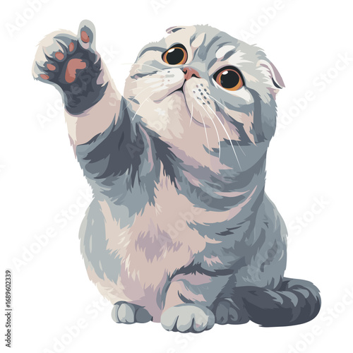 Cute Scottish Fold cat reaching up illustration