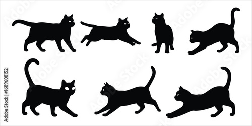 Collection of black cat silhouettes in various playful poses on white Keywords: cat, silhouette, black