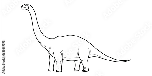 Outline drawing of a long-necked Brontosaurus dinosaur on white Keywords: dinosaur, brontosaurus