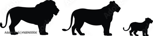 Silhouette of a male lion, female lion, and cub on white background Keywords: lion, male lion, lioness