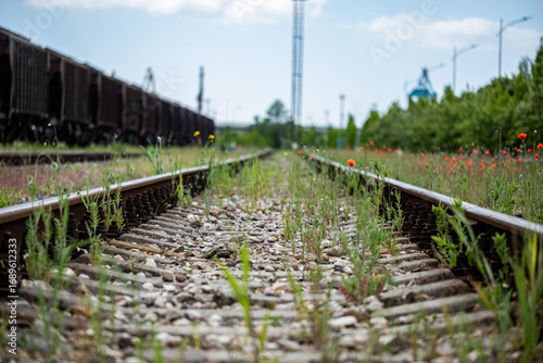 Colorful flowers growing alongside railway tracks, vibrant blooms contrasting with rustic train cars and lush greenery, showcasing nature's resilience in an industrial setting