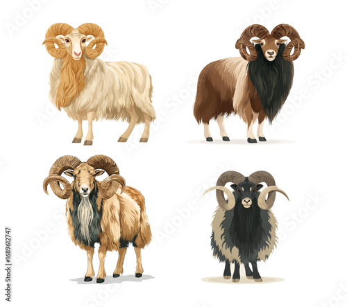 Set of rams with large horns illustration