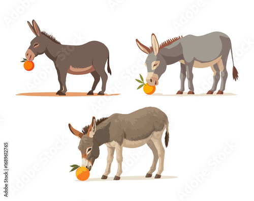 Donkeys eating oranges illustration