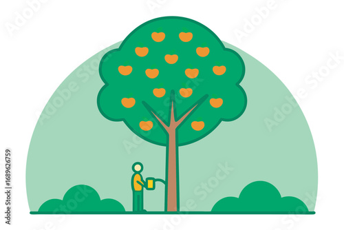 Person watering a fruit bearing tree in the sun