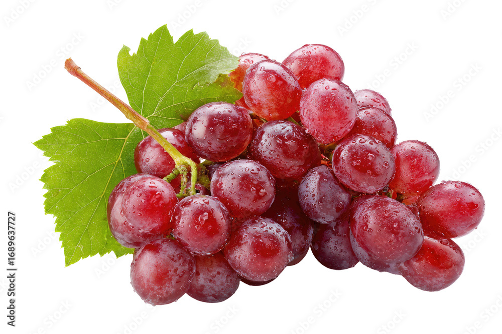 Fototapeta premium Close-up of a bunch of red grapes. Fresh, juicy grapes with vibrant red-purple color and visible water droplets. Green leaves attached to the stem. Isolated against a black background