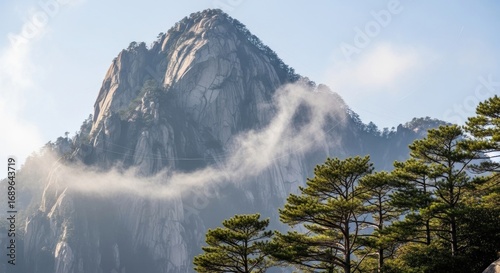 Huangshan Mountain Peak Veiled in Mist with Evergreen Trees in the Foreground