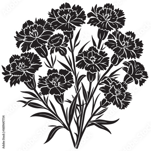 Illustration of spray carnation flower clusters