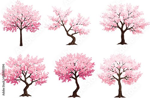 Beautiful pink cherry blossom flowers on branches, spring floral illustration, delicate seasonal petals, blooming nature vector art, botanical design, natural decoration