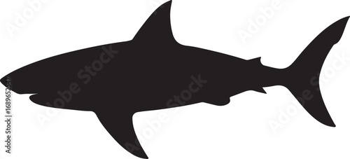 black shark vector illustration