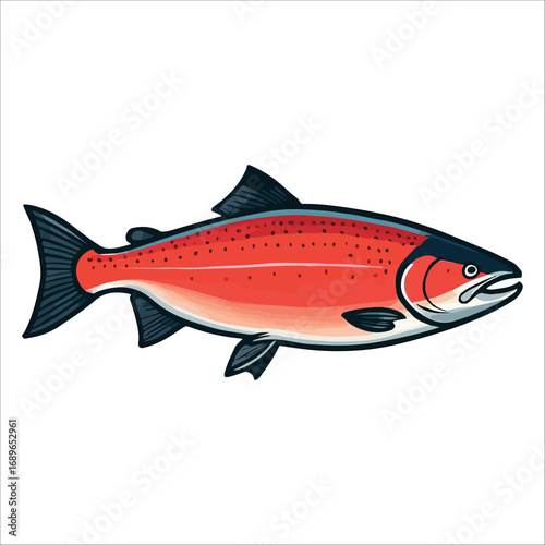 Vibrant Red Salmon Illustration vector:  Bold Line Art Style, Fresh Seafood Design.