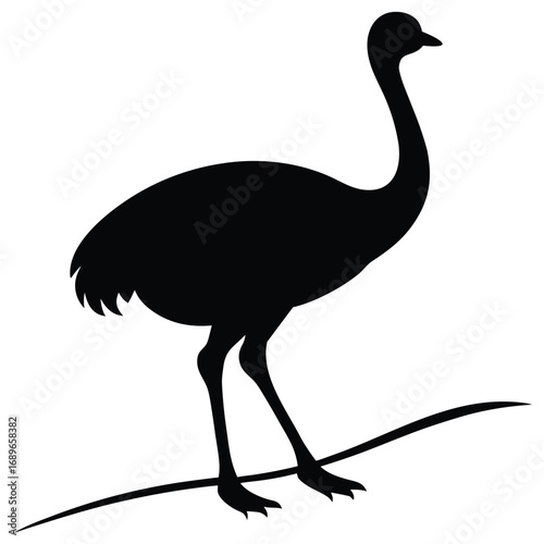 ostrich cartoon isolated on white