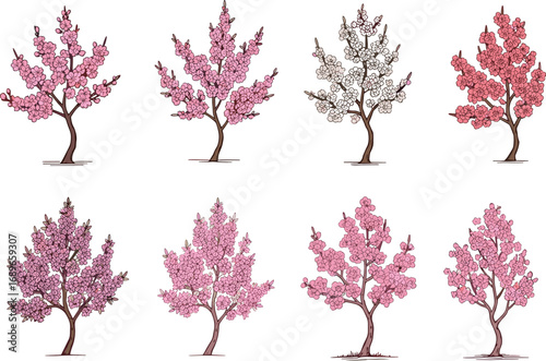 Hand drawn cherry blossom tree set, pink floral spring trees illustration, sakura vector design, blooming flower tree clipart collection