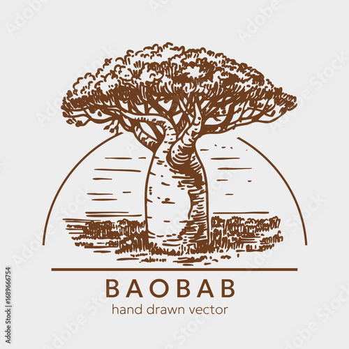 Baobab tree sketch. Hand drawn African savanna plant. Vector illustration