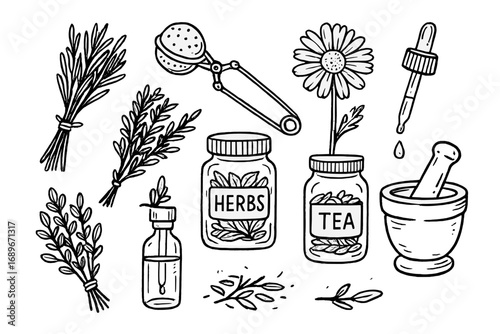 Herbal Wellness Doodle Art. Herbal wellness: hand drawn doodles of dried herbs, tea infuser, chamomile flower, labeled jars,
