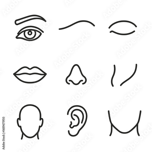 Face Fragment Icons. Line style icons of face fragments and isolated features: single eye with brow, curved eyebrow shape, closed