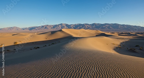 Vast desert sand dunes under a clear blue sky.