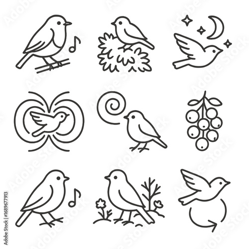 Migratory Birds Icons. Outline style icons of Migratory Birds: European robin song, hedge row stopover, nighttime star path,