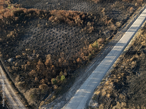Cualedro, Galicia, Spain - September 02th 2025 - Burnt landscape after the wave of wildfires that devastated the southeast of Galicia during the month of August.