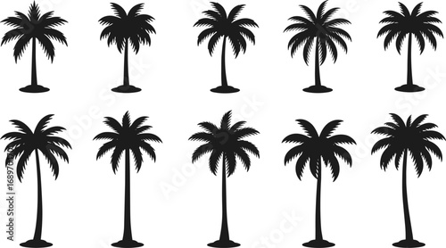 Palm tree silhouette icons, tropical nature vector, black tree shapes, summer vacation elements, beach decoration, nature plant graphic, isolated illustration set pack