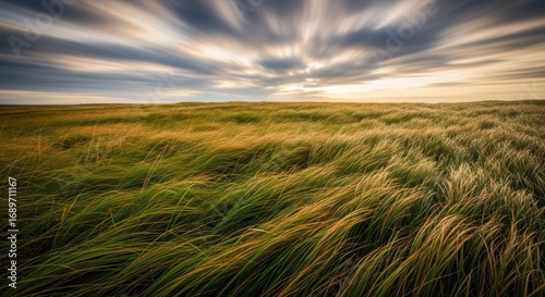 Windswept Field of Grass Under a Dynamic Sky with Motion Blur Effect