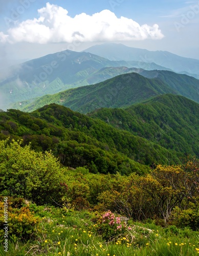 Lush mountain range with wildflowers