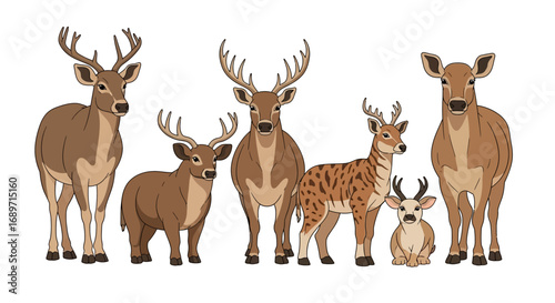 Flat Vector Set of Animals Icons – Wild Animals, Farm Animals, Domestic Pets, Cute Wildlife Illustration Isolated on White Background