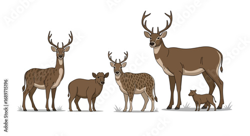 Flat Vector Set of Animals Icons – Wild Animals, Farm Animals, Domestic Pets, Cute Wildlife Illustration Isolated on White Background