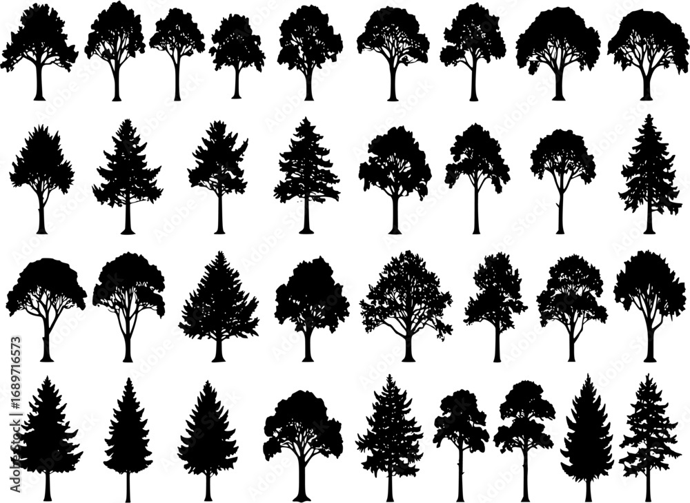 Tree silhouette vector. Isolated forest trees on white background
