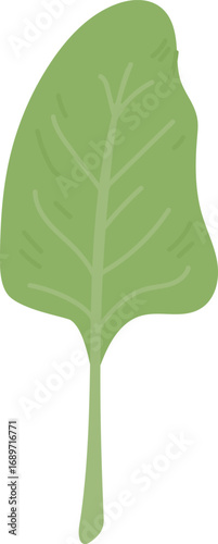 Fresh Organic Leaf