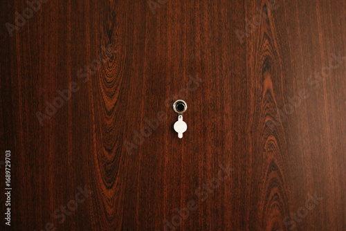 Принти на полотні Through a peephole in the brown door of an apartment