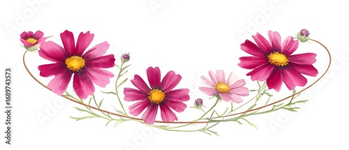 Watercolor Cosmos Flower Garland Floral Design Element