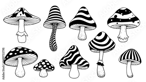 Whimsical mushrooms set, perfect for fairytale designs and magical forest scenes, outlined and ready to use