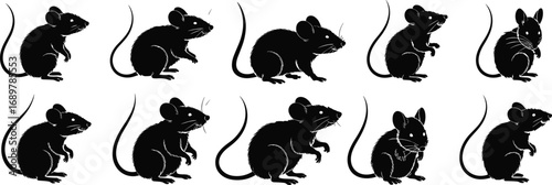 Set of black mouse silhouettes in various sitting and standing positions, cute rodent vector illustration with long tails, detailed animal design for decoration