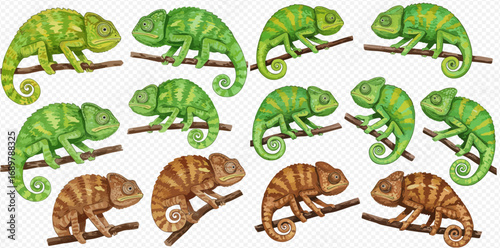 A collection of twelve illustrated chameleons in green and brown variations, each perched on a small branch.