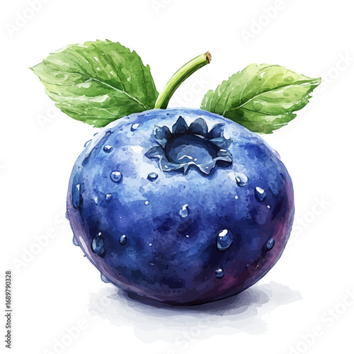 Blueberry, watercolor illustration vector, isolated on a white background.