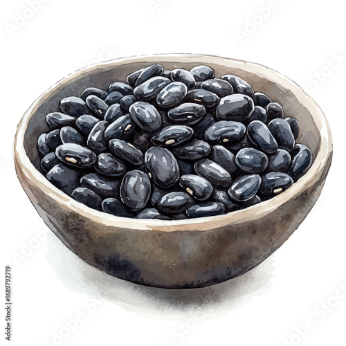 Black Beans, watercolor painting vector, isolated on a white background.