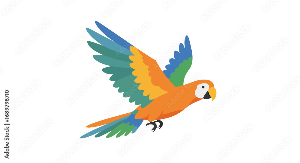 Fototapeta premium Colorful parrot flying with wings spread on a white background.